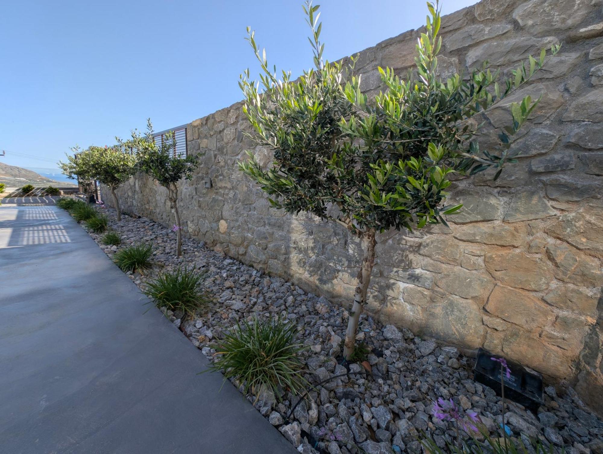 Thea Villas Makry Gialos  Exterior photo